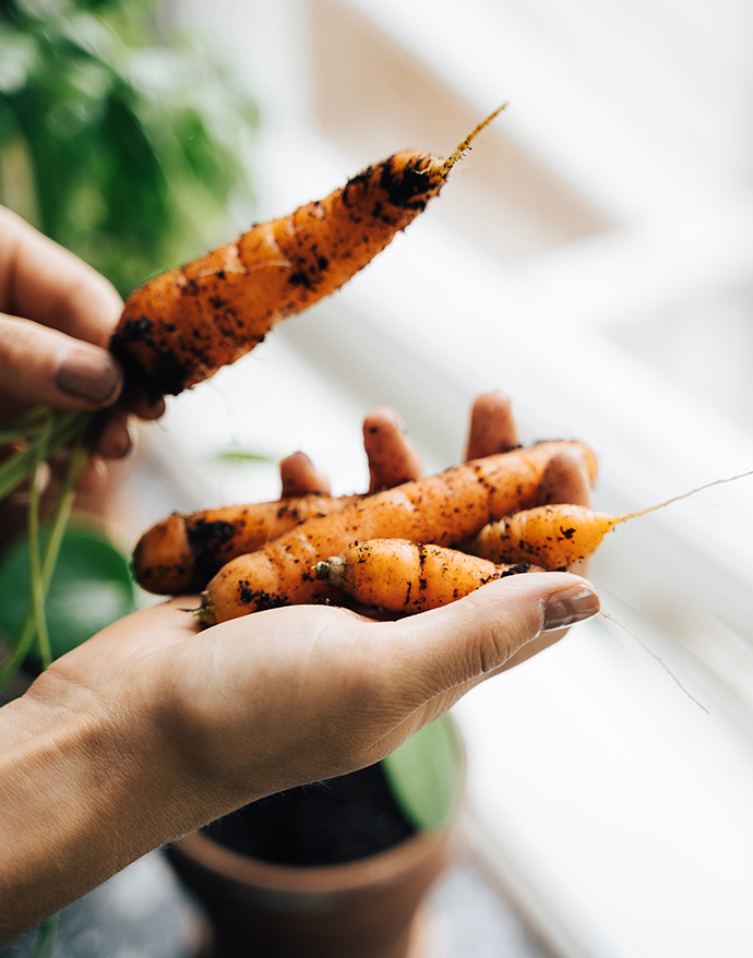 Les ambassadeurs DirectPotager