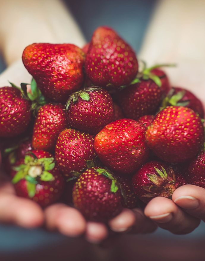 Calendrier DirectPotager