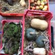 Vendre ses légumes