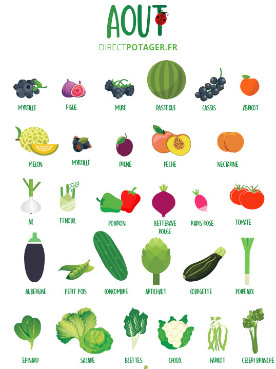 Les fruits et légumes de juillet - Fiches pratiques du jardin