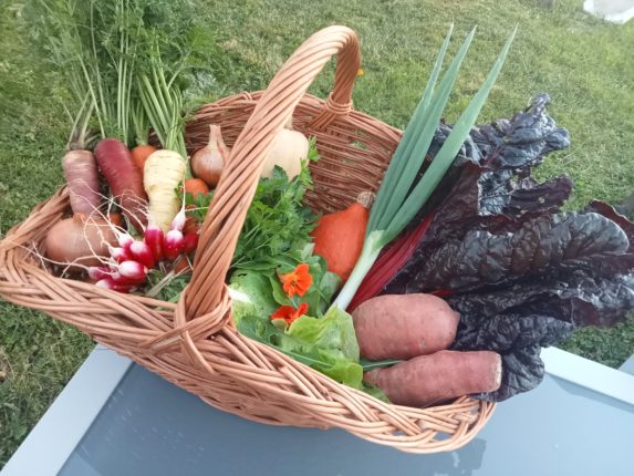 vendre ses paniers de légumes