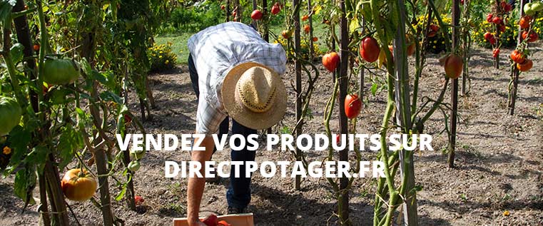 trouver producteur local