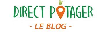 DIRECT POTAGER