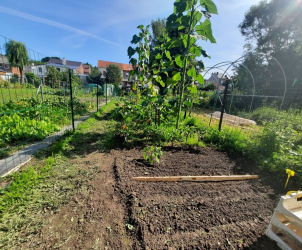 Associations des légumes