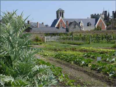 Quels légumes cultiver en Pays-de-Loire ?