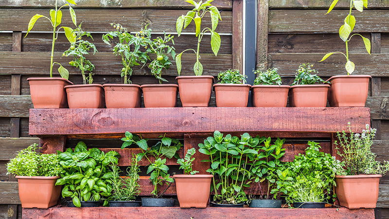 Serre de jardin balcon étagère serre 4 niveaux 0,7L x 0,5l x 1,6H