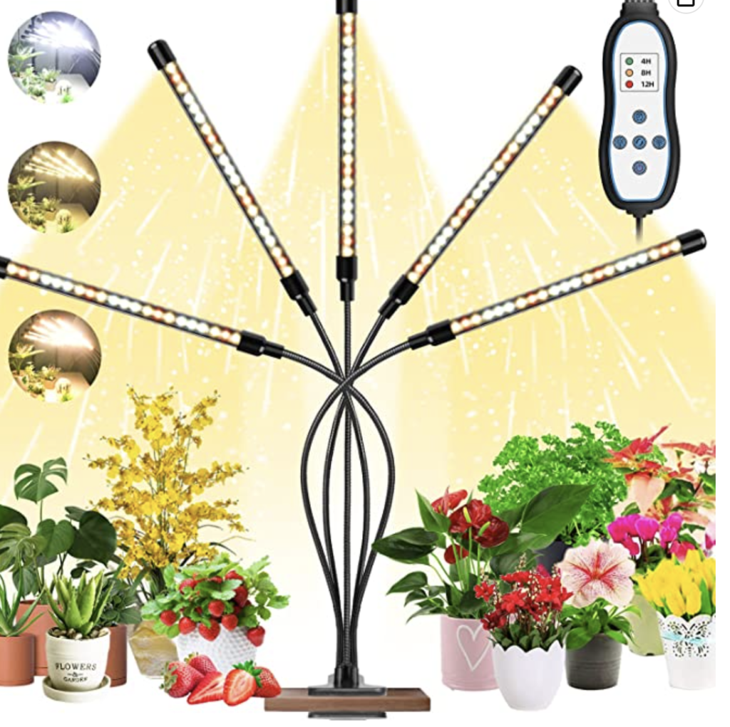 QUELLE LAMPE HORTICOLE CHOISIR ? - LE BLOG