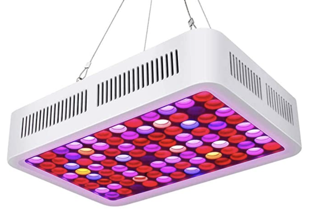 LES LAMPES HORTICOLES LED & SODIUM - LE BLOG