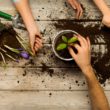 atelier_jardinage