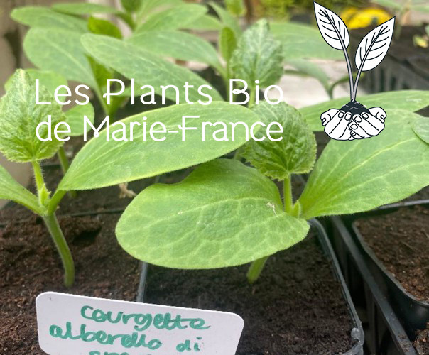 thumb_4442_image_potager_fichepotager