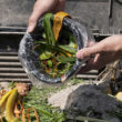 compost