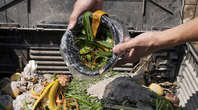 compost - engrais naturel