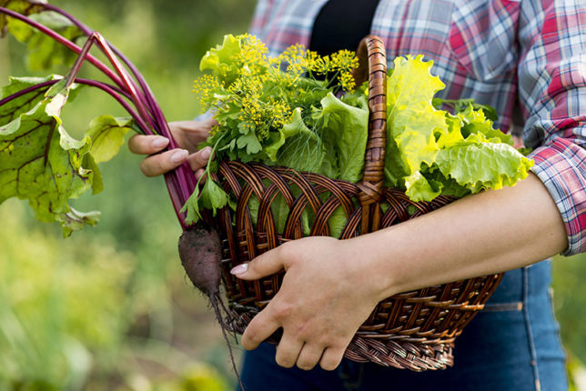 Paniers de légumes