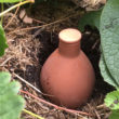 Guide pratique pour survivre à la sécheresse dans votre potager