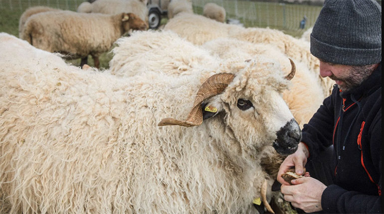 Ateliers Pédagogiques à la Ferme