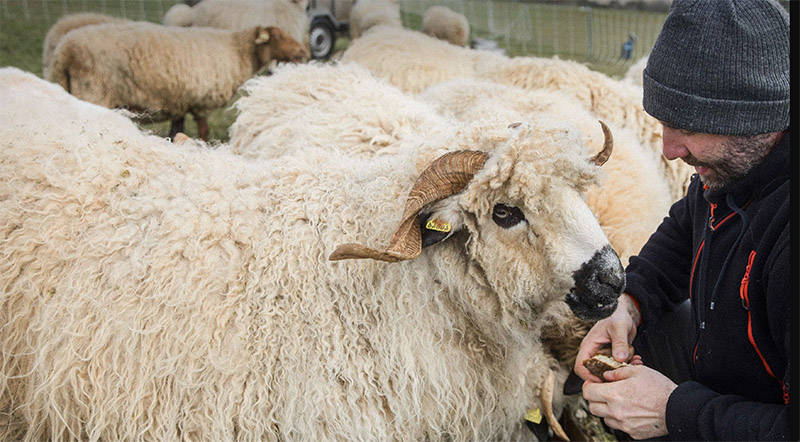 Ateliers Pédagogiques à la Ferme