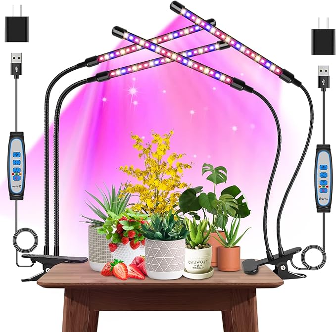 LAmpe horticole