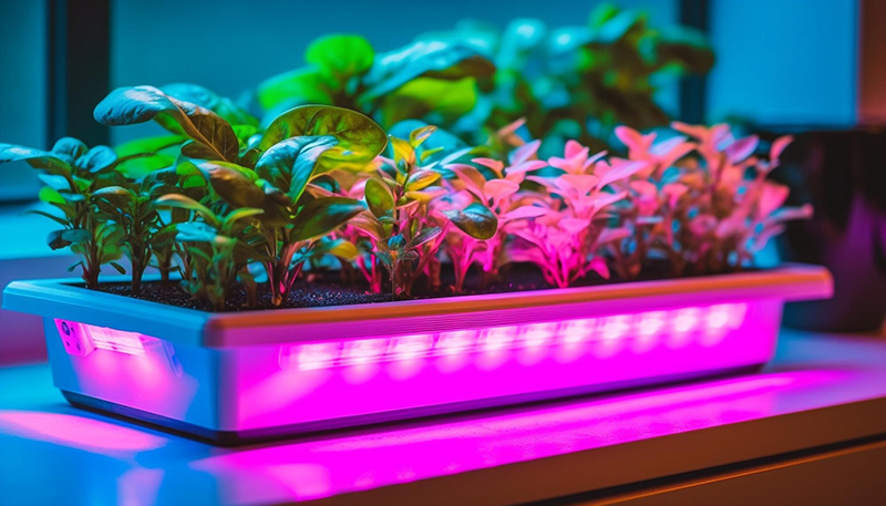 1 Paquet De Lampes De Culture Pour Plantes D'intérieur, Lampe LED À Spectre  Complet Avec