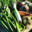 Livraison paniers légumes