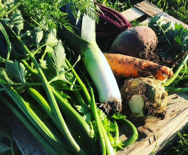 Livraison paniers légumes