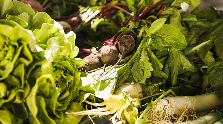 meilleurs legumes printemps potager