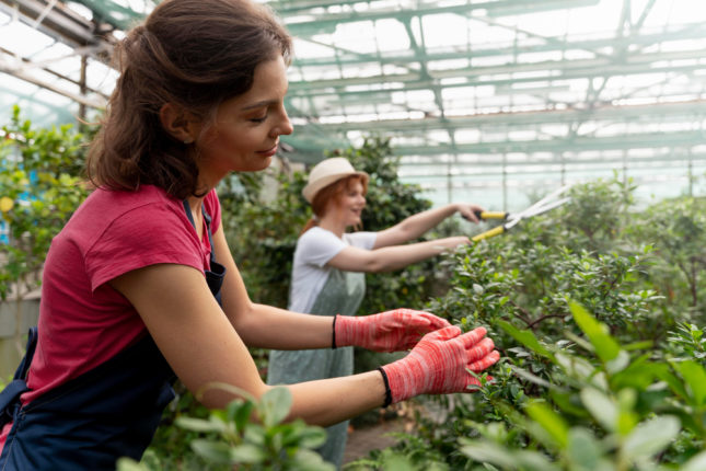 formations en agriculture urbaine dans votre région