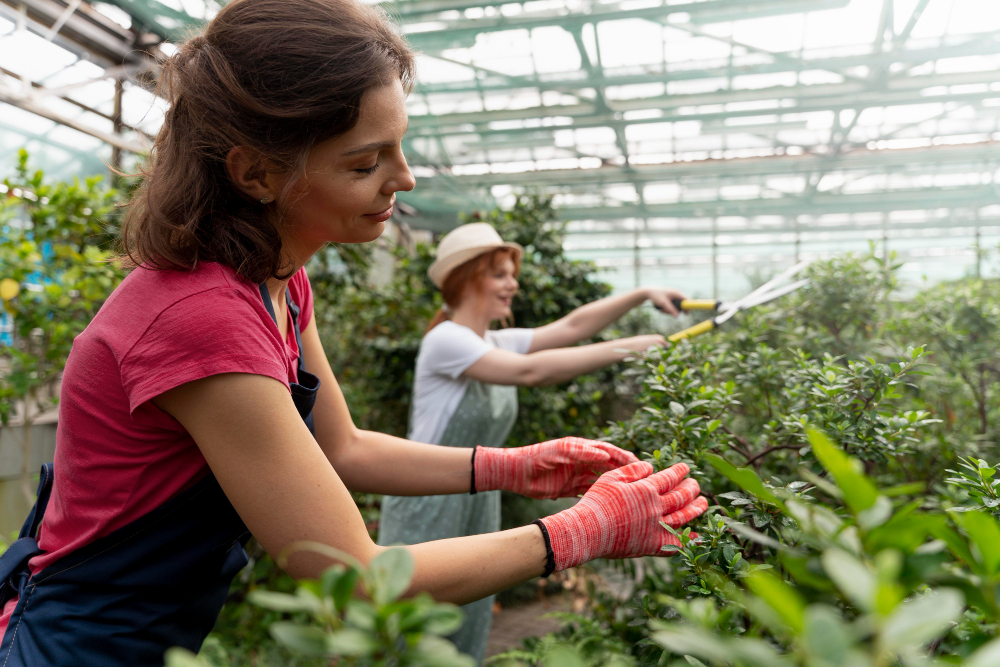 formations en agriculture urbaine dans votre région