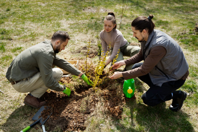Stages d'Initiation à la Permaculture