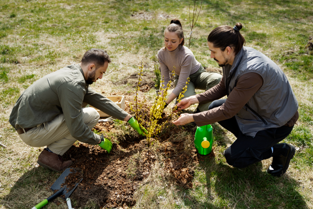 Stages d'Initiation à la Permaculture