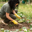 La permaculture à Paris et en Île-de-France