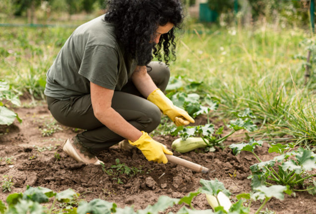 La permaculture à Paris et en Île-de-France