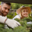 stage et formation nature jardin potager