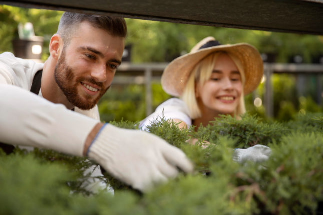 stage et formation nature jardin potager