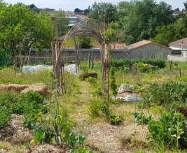 Jardin du tournesol