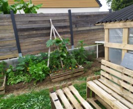 Le potager de william