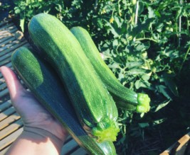 La petite ferme des Sauvages