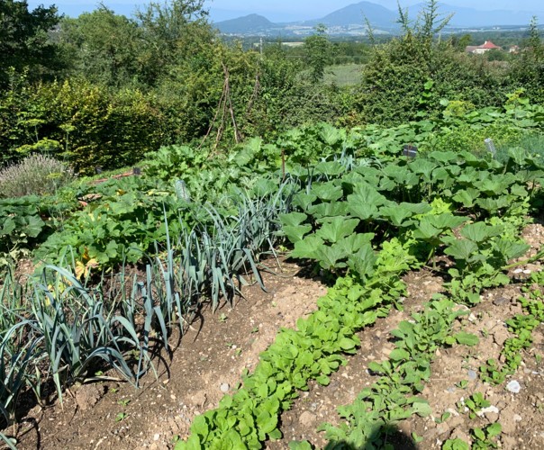 Le potager de Claude et Suzon