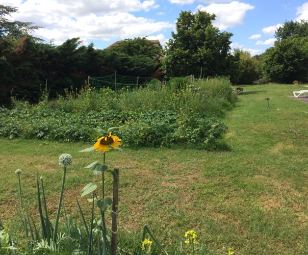 Le jardin de Voltaire.