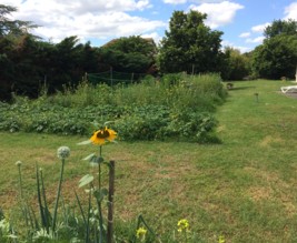 Le jardin de Voltaire.