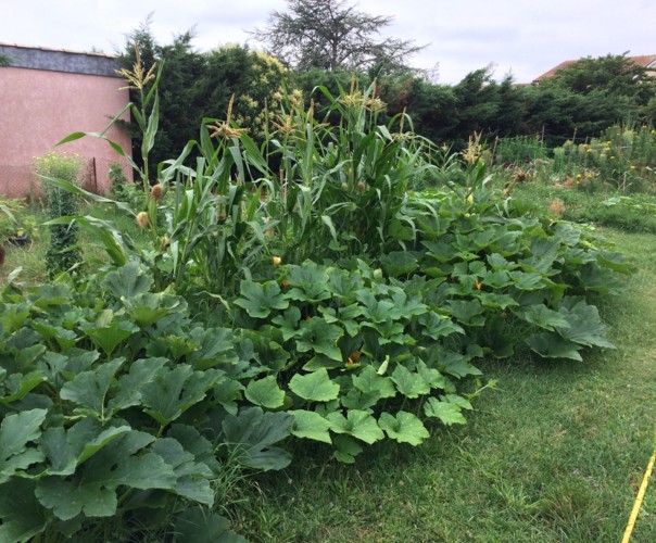 Le jardin de Voltaire.