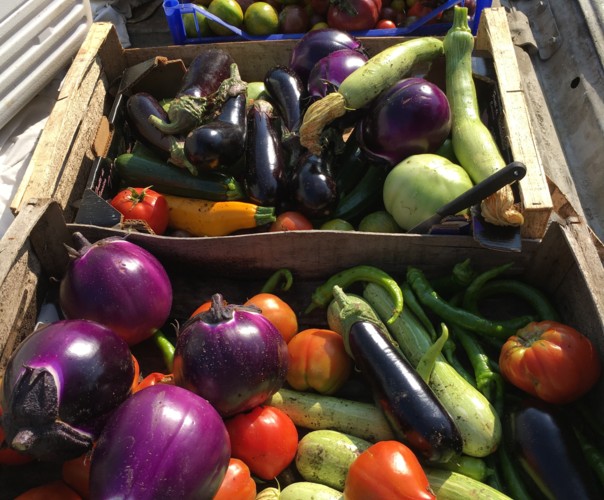 le potager de l'Auberge Kallisté