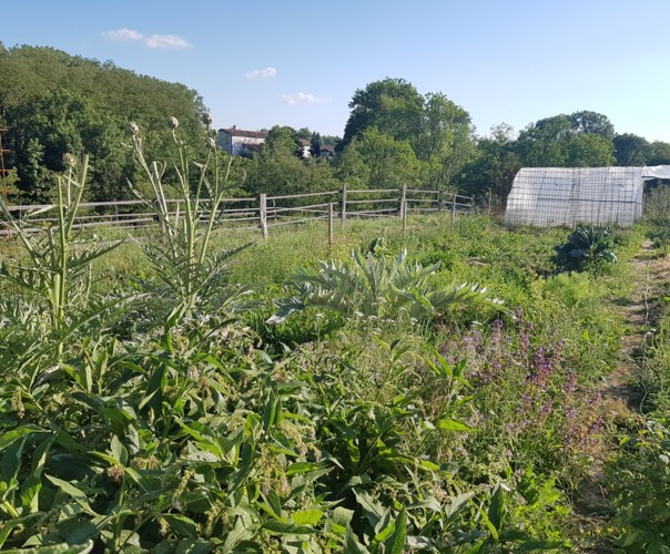 Le potager des Vernes