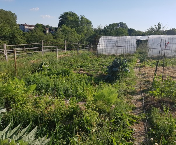 Le potager des Vernes