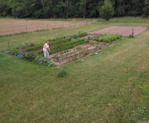 le potager de Sylvie