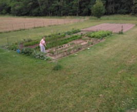 le potager de Sylvie