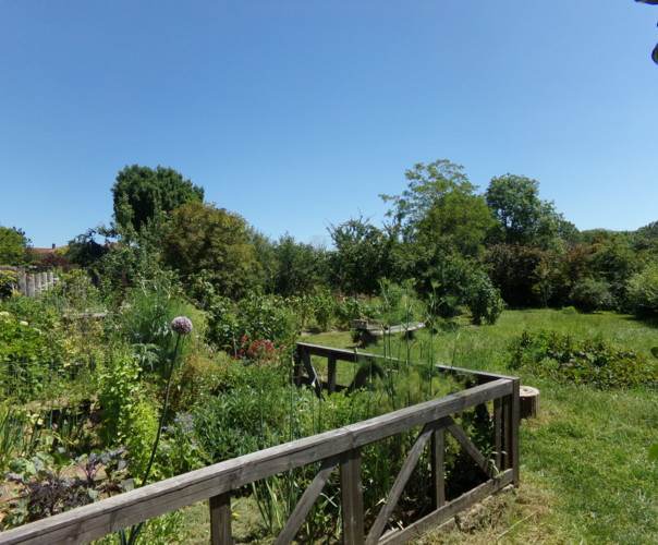 Jardin de Virginie