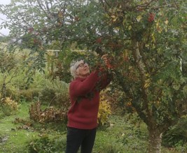 Les Jardins du Cot