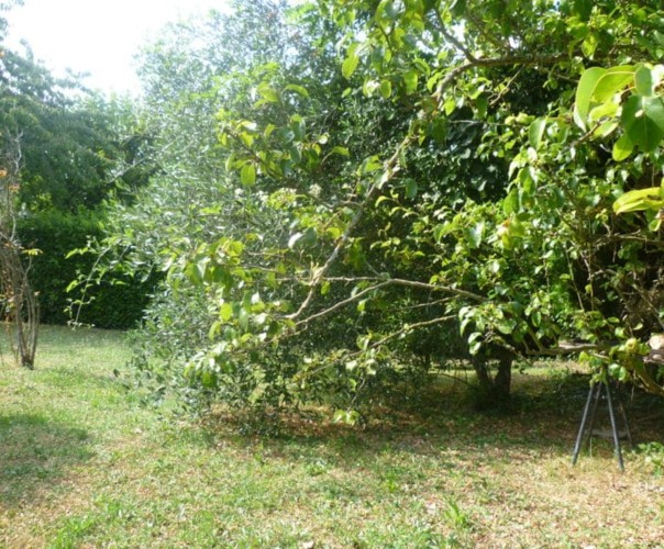 Le Jardin de Bobda