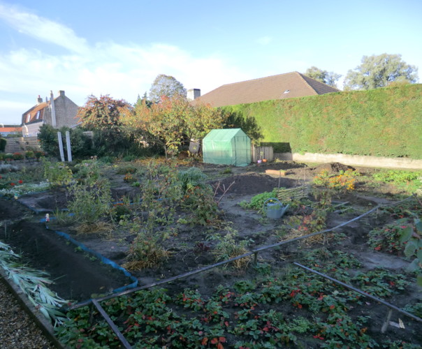 KITCHEN GARDEN