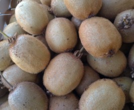Kiwi kiwi